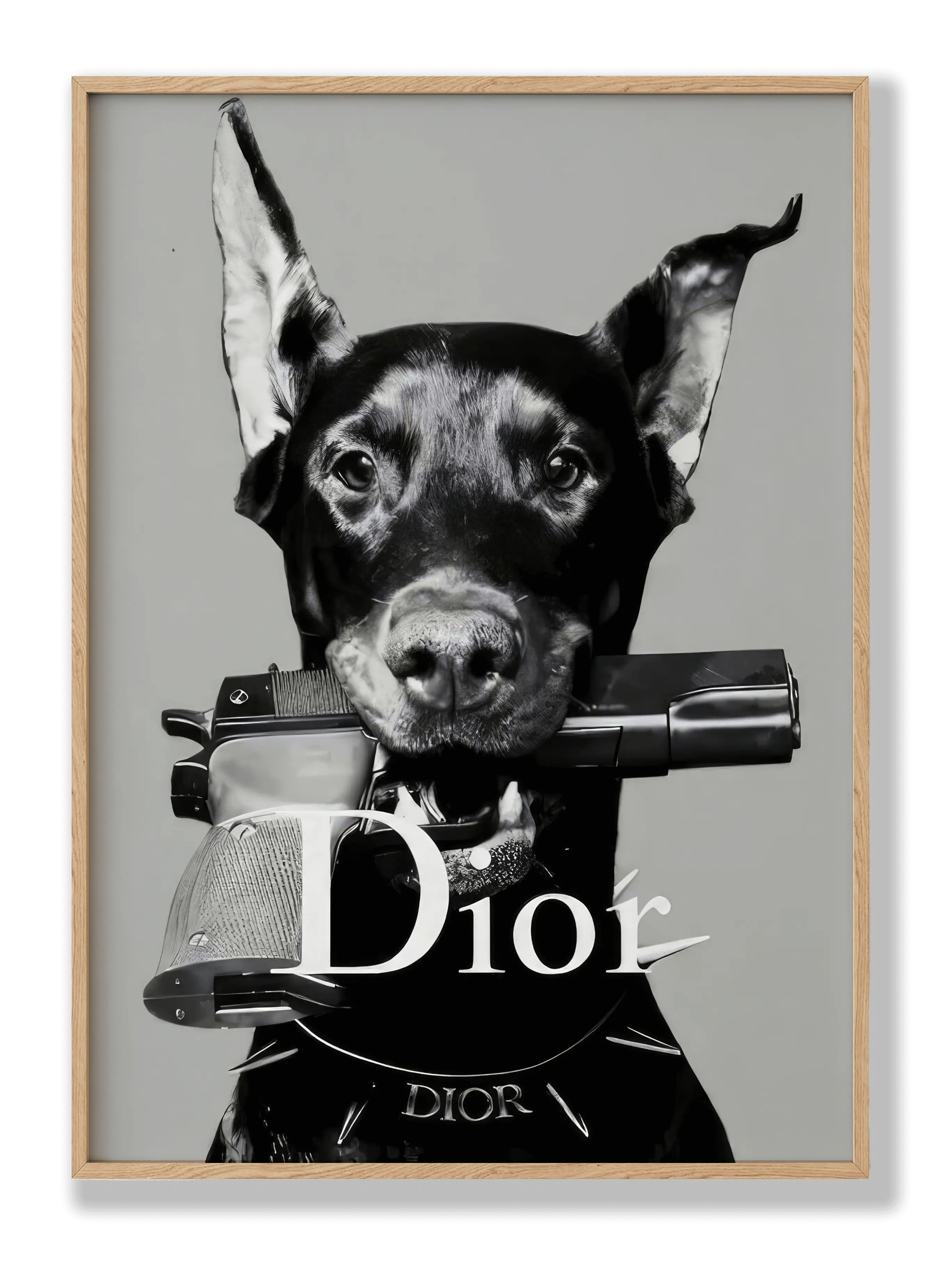 Dior-Hundeposter