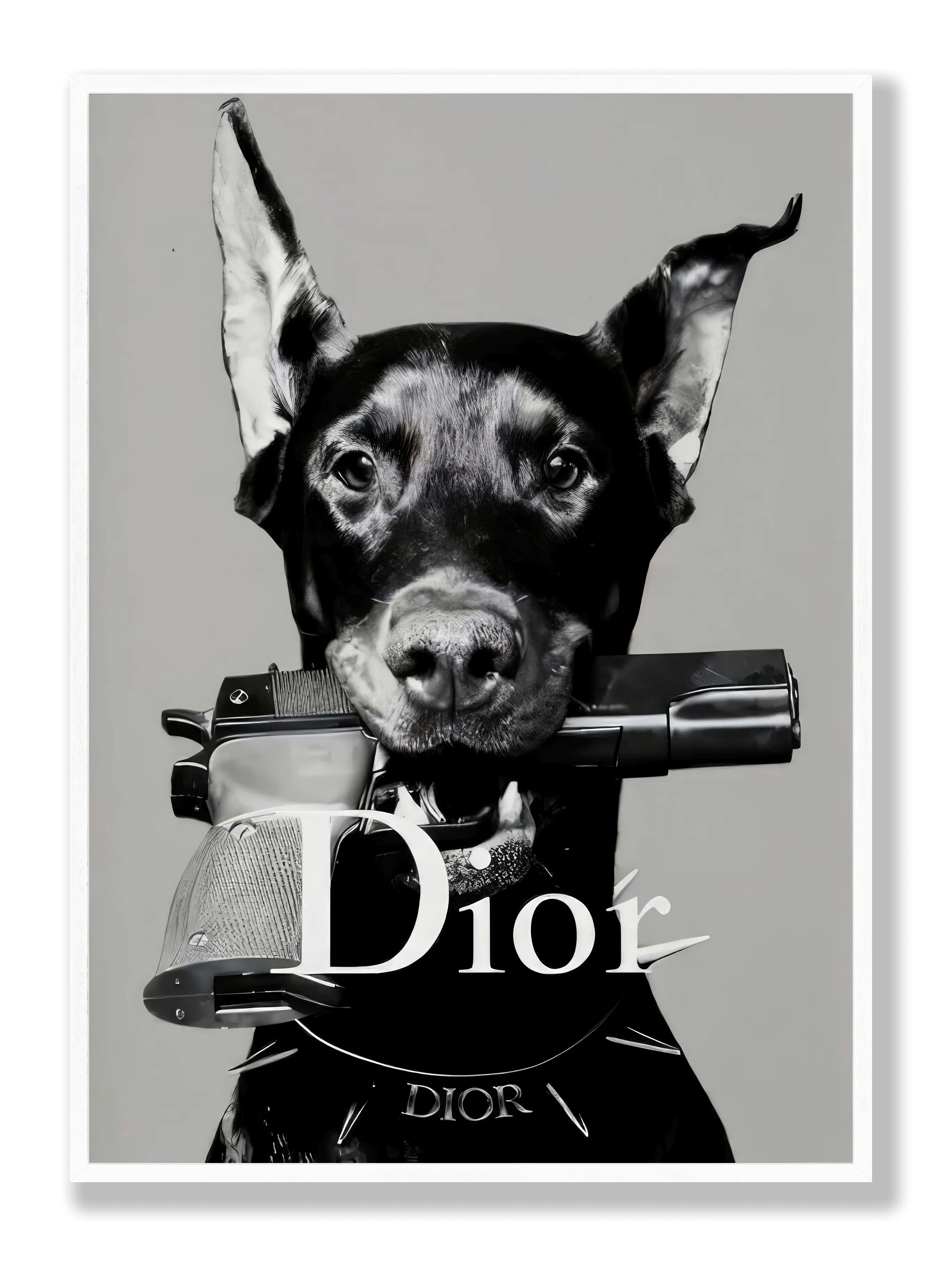 Dior-Hundeposter