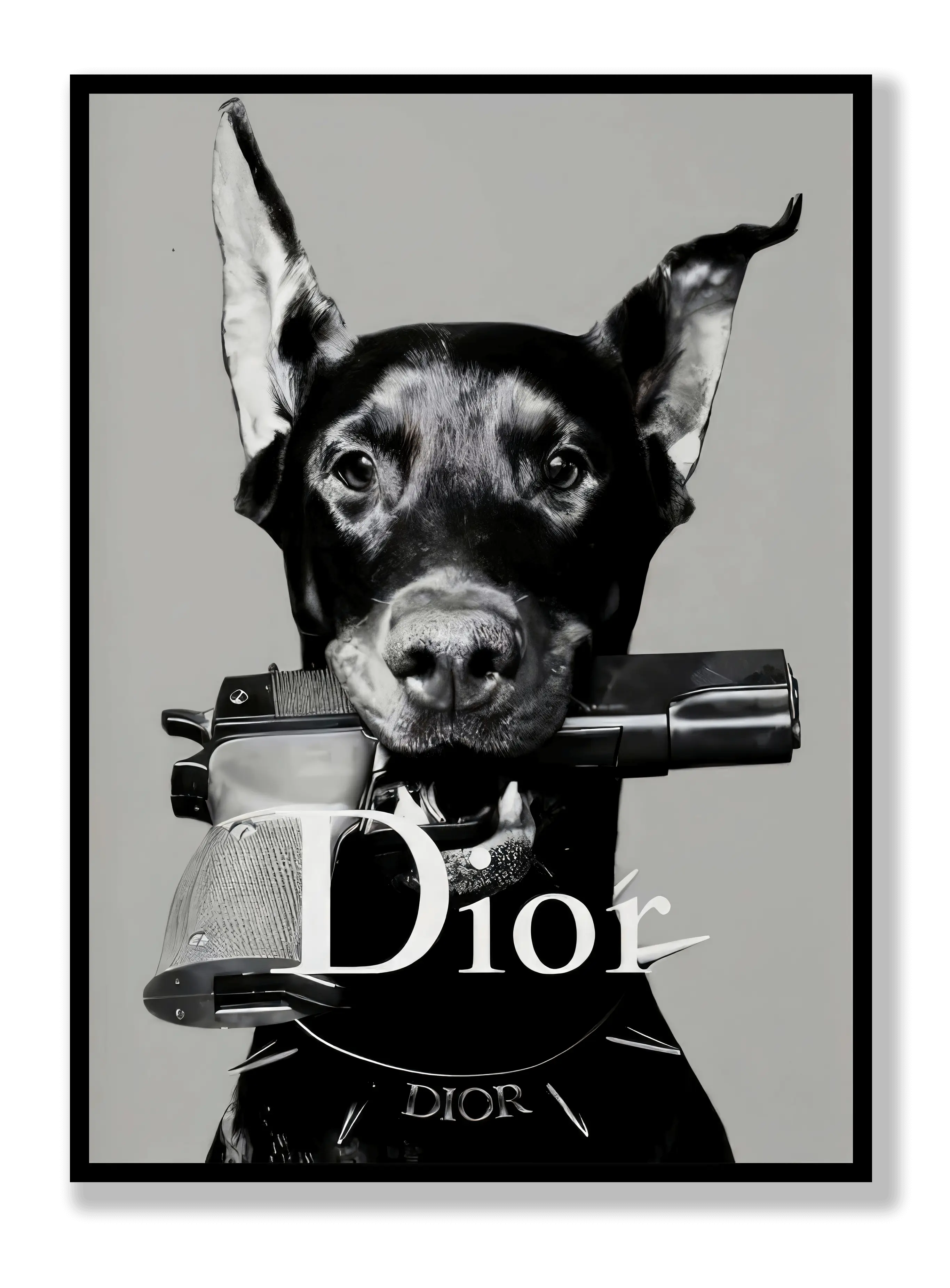 Dior-Hundeposter