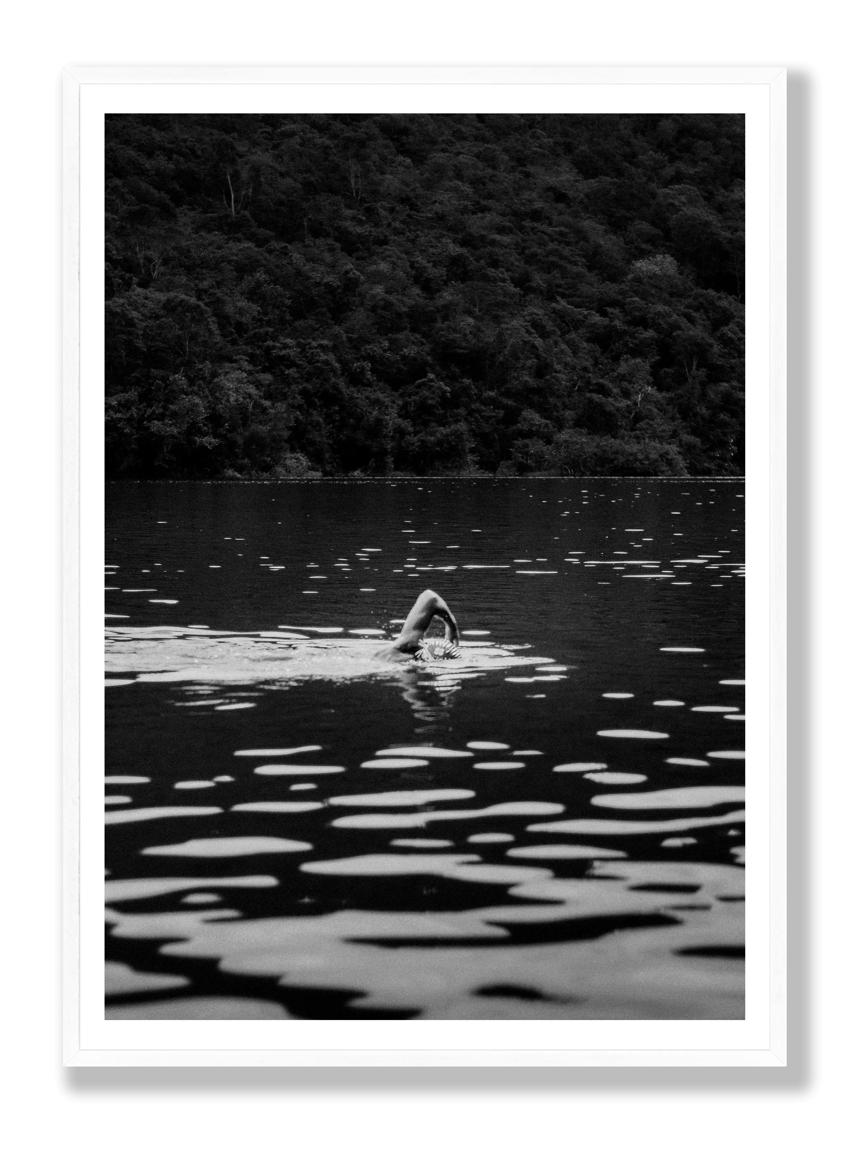Schwimmen in der Wildnis Poster