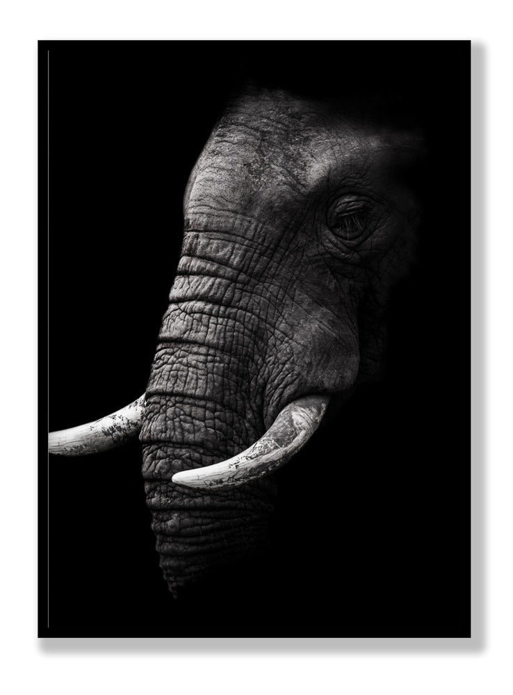 Portrait Poster