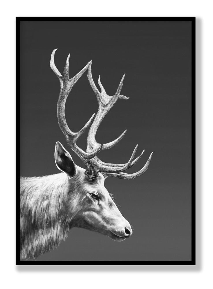 Reindeer Poster