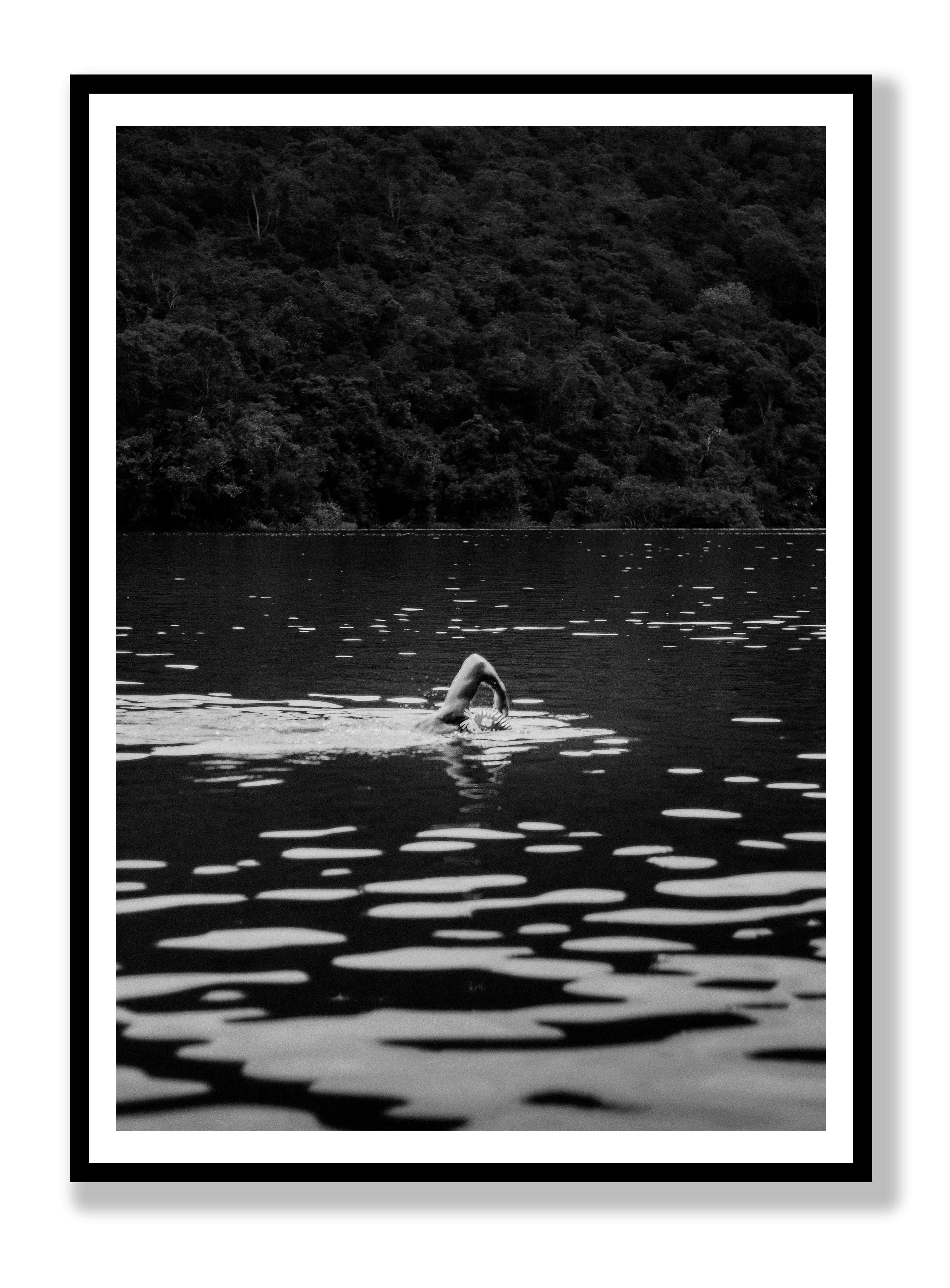 Schwimmen in der Wildnis Poster